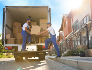 Our Services – Next Level Solutions